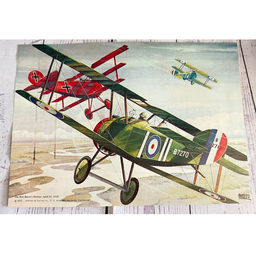Vintage 1973 The Red Barons Demise Art Print WWI Aviation Steffen & Games Inc